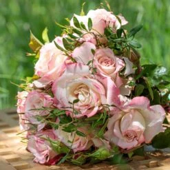 Rosier LYON LUMIERES ® Meivanae 5 Rosier LYON LUMIERES ® Meivanae -Jardin Entretien Magasin 1 photo couv kta ah21 lyon lumieres meivanae hd3 1000