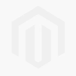 Rosier Grimpant ALLEGRO ® II Meileodevin 11 Rosier Grimpant ALLEGRO ® II Meileodevin – Image 11