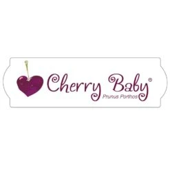 Cerisier Nain CHERRY BABY ® ‘Porthos’ Gamme FRUITALITY ® -Jardin Entretien Magasin 8795d logo cherry baby t1000