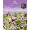 Le Guide : Plantes Grimpantes