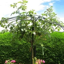 Tuteur Parapluie 9 Pétales Pour Rosier Pleureur H 2.5 M 9 Tuteur Parapluie 9 Pétales Pour Rosier Pleureur H 2.5 M -Jardin Entretien Magasin 9235d tuteur parapluie 9 p tales pour rosier pleureur h 2.5 m moulin t1000
