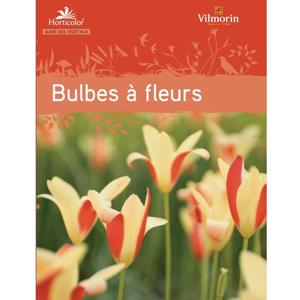 Le Guide : Bulbes à Fleurs 1 Le Guide : Bulbes à Fleurs