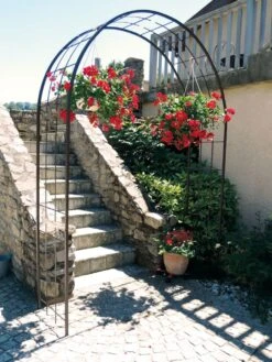 Arche Double D'Antan -Jardin Entretien Magasin 9254b