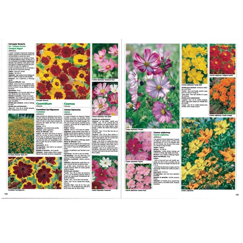 Le Guide : Annuelles Et Bisannuelles 2 Le Guide : Annuelles Et Bisannuelles – Image 2