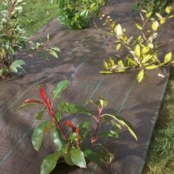 Toile De Paillage Tissée