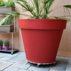 Roule Plante Rond -Jardin Entretien Magasin 9372 roule plante rond t1000