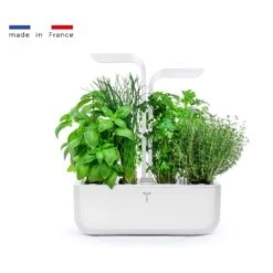 Potager D'intérieur Véritable® CLASSIC