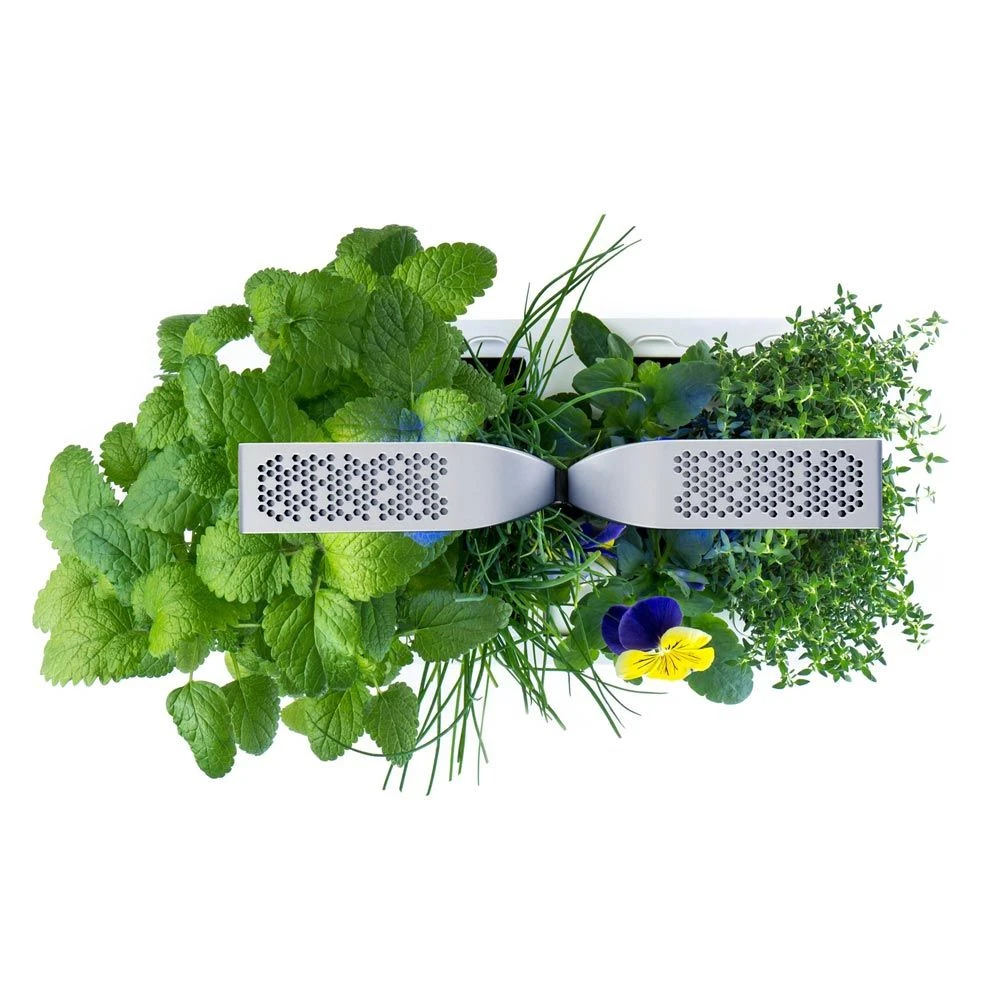 Potager D'intérieur Véritable® SMART 4 Potager D'intérieur Véritable® SMART – Image 4