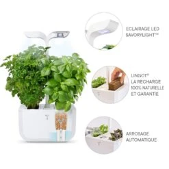 Potager D'intérieur Exky® Classic -Jardin Entretien Magasin 9442 5