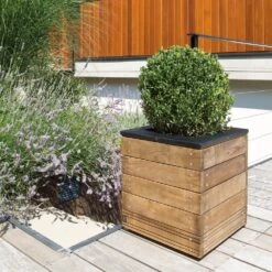 Bac En Sapin Selekt Carré 45 Bas