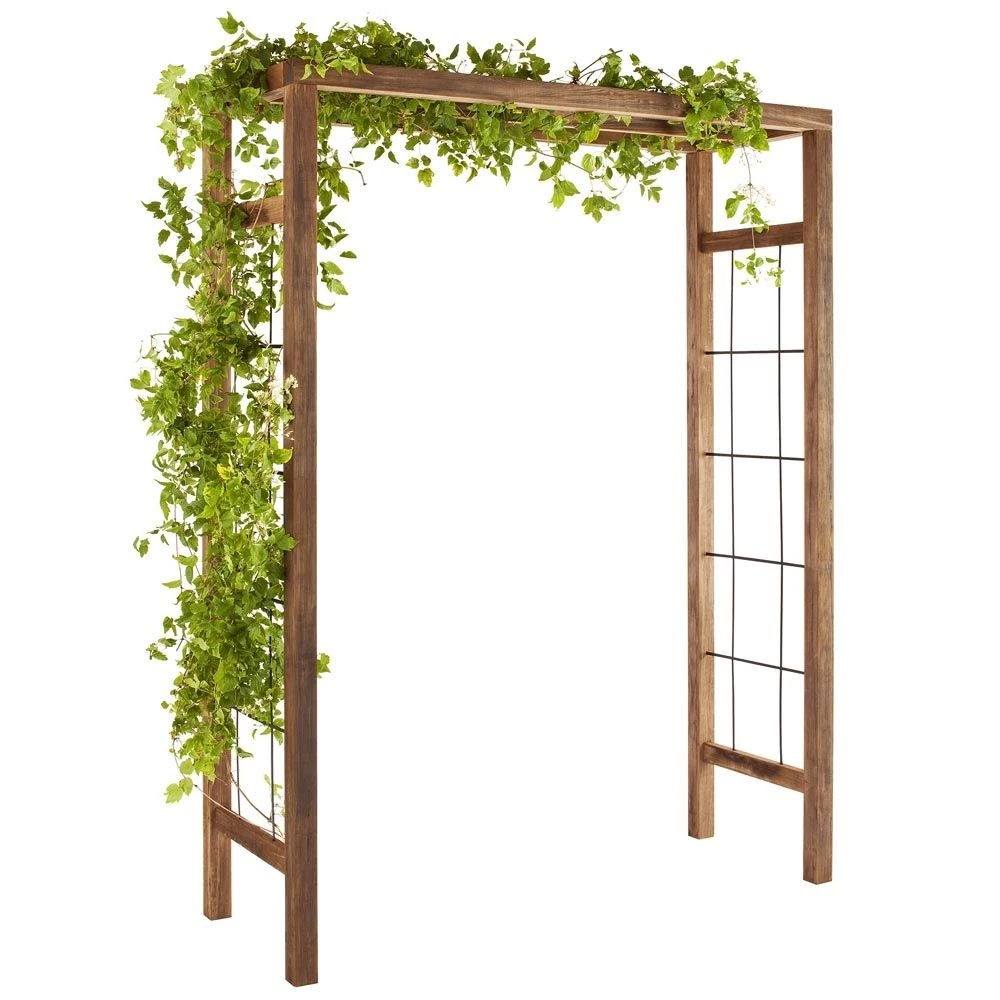 Pergola Ikebana 2 Pergola Ikebana – Image 2