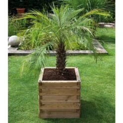 Bac En Pin Carré Olea