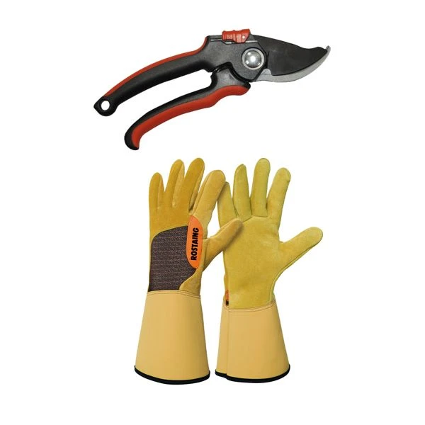 Lot Gants Roncier + Sécateur Professionnel T8 1 Lot Gants Roncier + Sécateur Professionnel T8