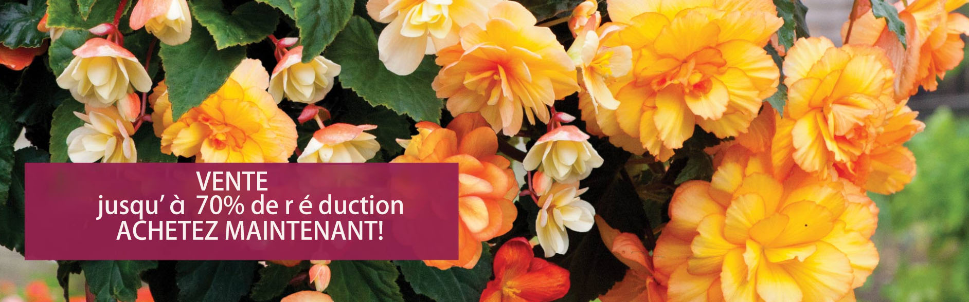 Jardin Entretien Magasin -Jardin Entretien Magasin FHFH