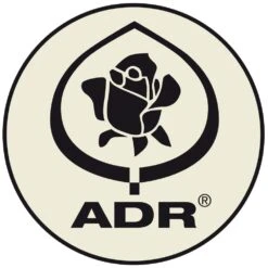 Rosier Magic MEILLANDECOR ® Meibonrib -Jardin Entretien Magasin logo adr t1000 23