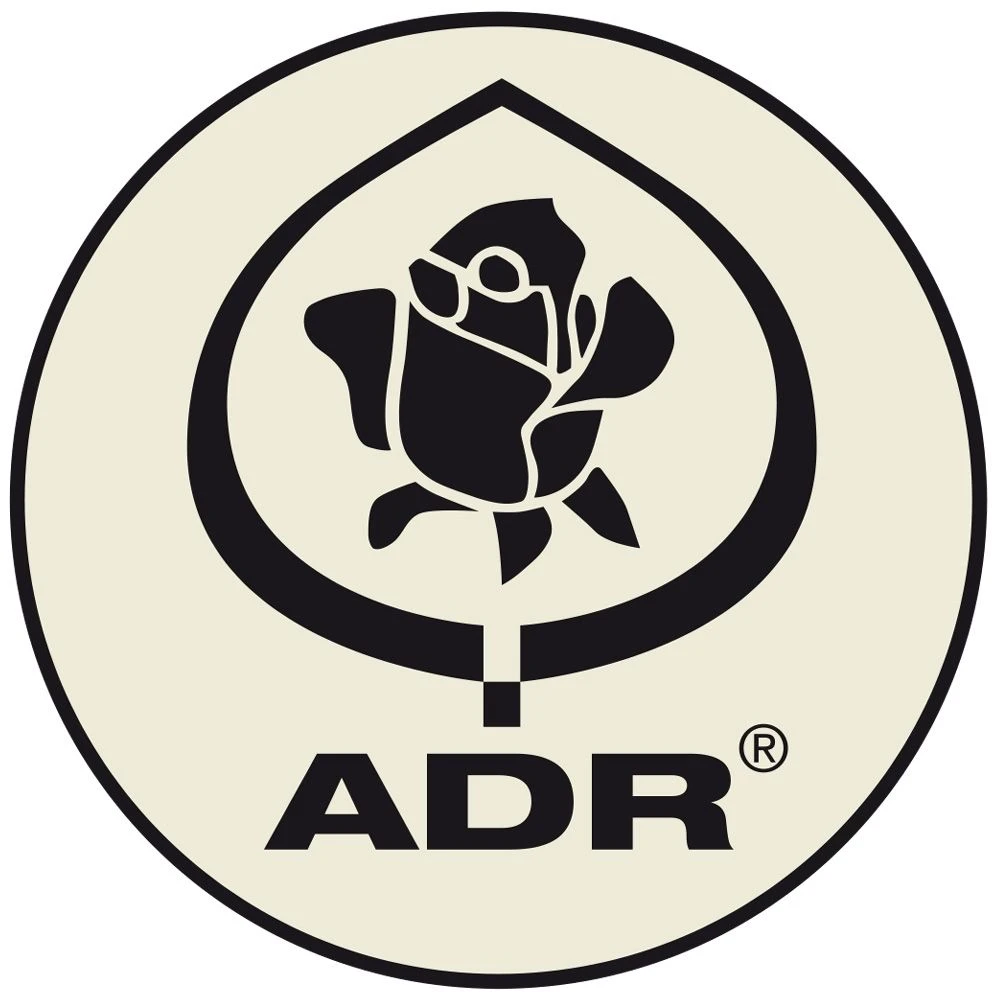 Rosier ANNY DUPEREY ® Meitongas 5 Rosier ANNY DUPEREY ® Meitongas – Image 5